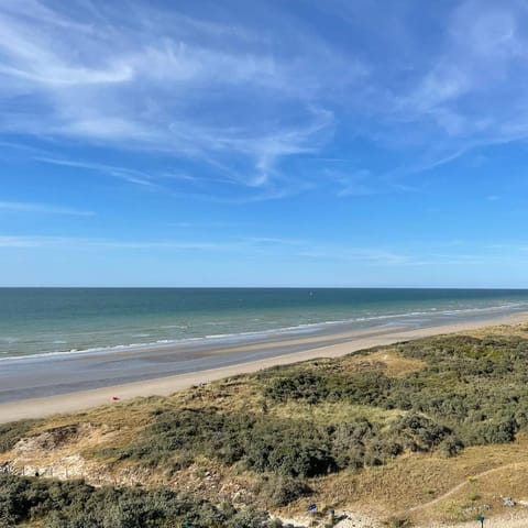 Penthouse studio met zeezicht Apartment in De Panne