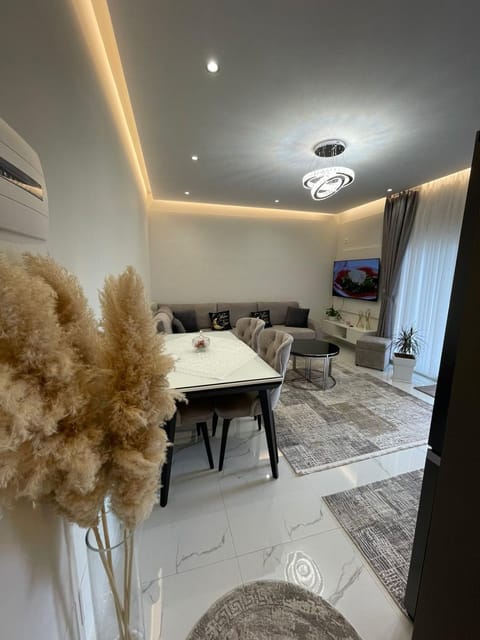 Living room, Seating area, Dining area, air conditioner