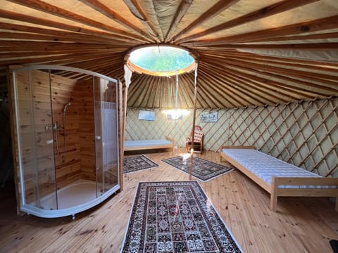 Shower, Bed, Photo of the whole room, Bedroom