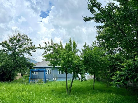 Natural landscape, Garden view