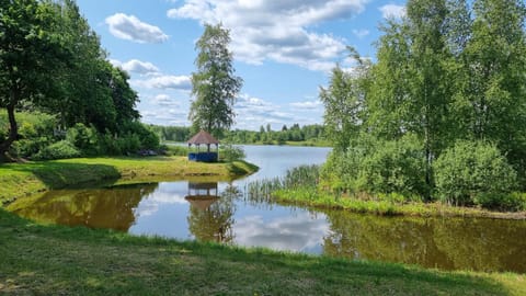 Lake view
