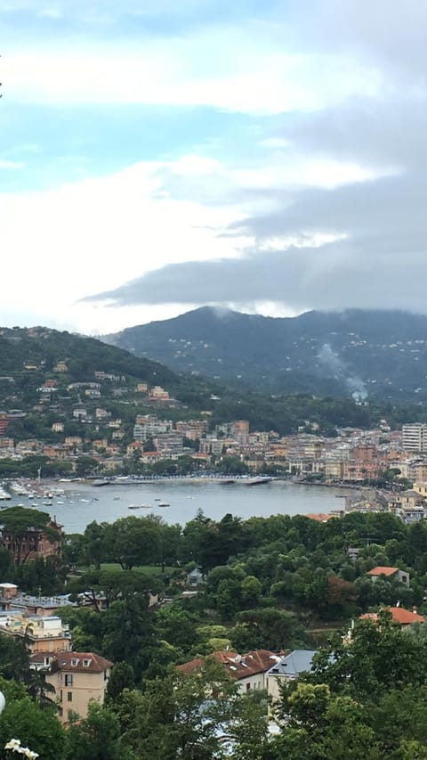 City view, Sea view