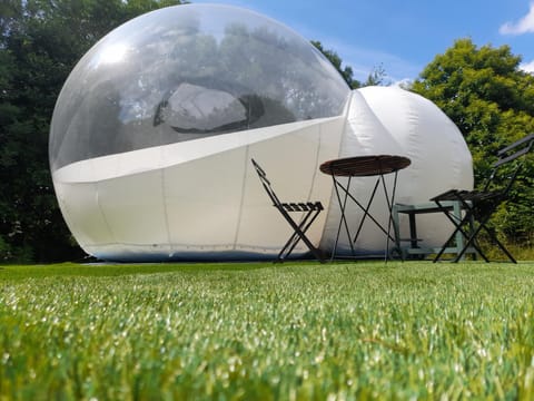 Day, Natural landscape, Dining area, Garden view