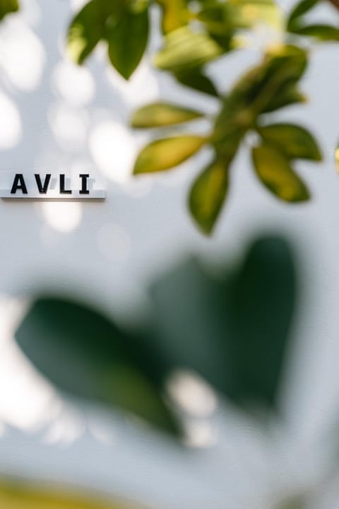 Decorative detail, Logo/Certificate/Sign