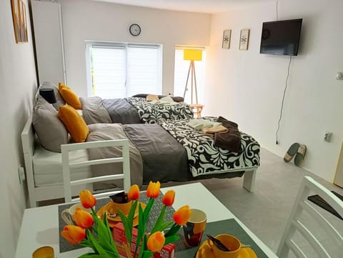 Bed, TV and multimedia, Photo of the whole room, Seating area