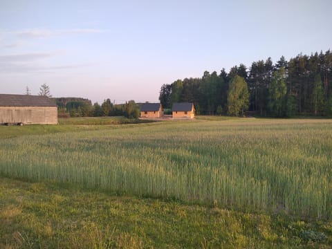 Domki kajaki Wda House in Pomeranian Voivodeship