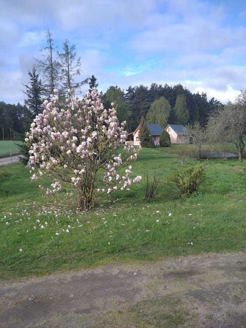 Domki kajaki Wda House in Pomeranian Voivodeship
