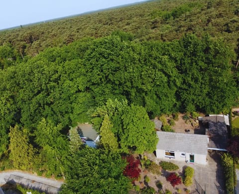 Property building, Spring, Natural landscape, Bird's eye view