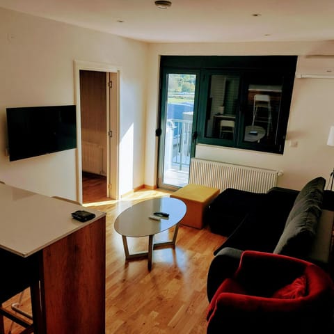 Centar Crnjanski Apartment in Serbia