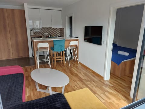 Centar Crnjanski Apartment in Serbia