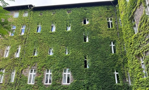 Property building, Spring, Day, Garden view