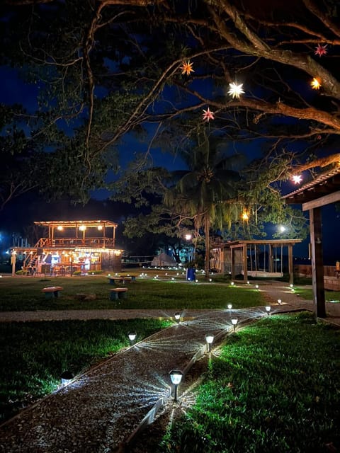 Restaurant/places to eat, Night, Garden view