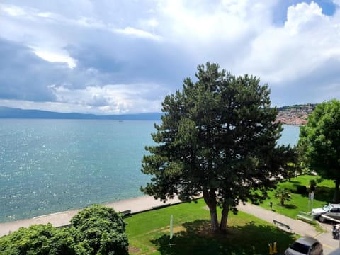 Nearby landmark, Spring, Day, Neighbourhood, Natural landscape, Bird's eye view, Beach, Lake view, Mountain view, Parking