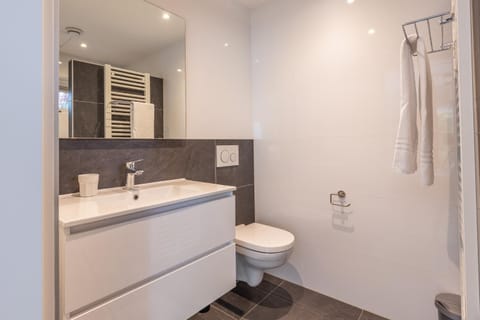 Vrijvakantiehuis Domburgseweg 52 studio Apartment in Domburg