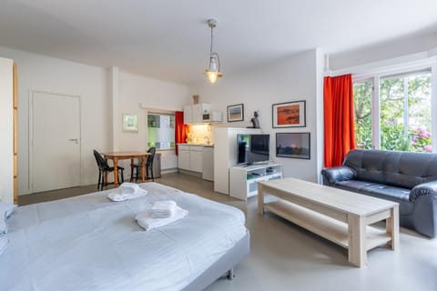 Vrijvakantiehuis Domburgseweg 52 studio Apartment in Domburg