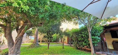 Spring, Day, Garden, Garden, Garden view