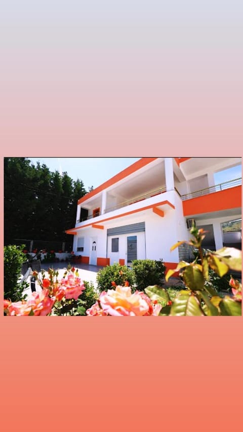 Property building, Garden, Garden view