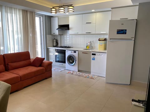 Kitchen or kitchenette, Living room, Seating area, dishwasher, oven, stove, washing machine