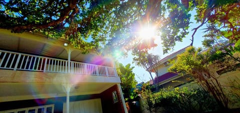 Property building, Natural landscape, Garden, Garden view