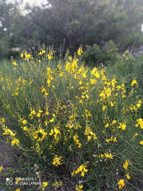 Apartman SAFIR Živogošće Apartment in Dubrovnik-Neretva County