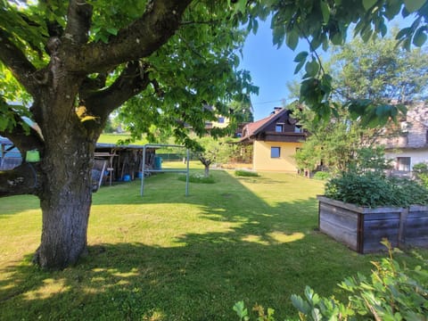 Spring, Natural landscape, Garden view