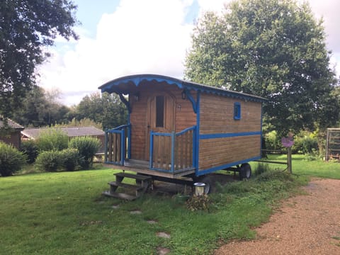 Natural landscape, Garden view, Swimming pool