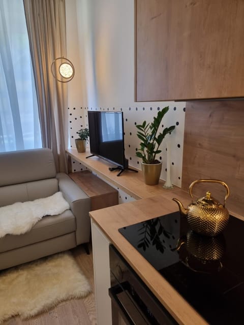 TV and multimedia, Kitchen or kitchenette, Living room