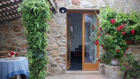 Patio, Garden
