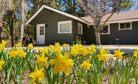 Property building, Spring, Summer, Autumn