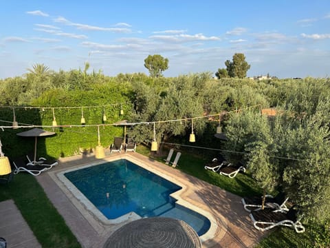 Day, Natural landscape, Garden, Garden, Garden view, Pool view, Swimming pool, sunbed