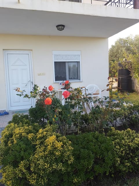 Property building, Garden, Garden view