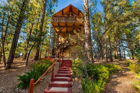 Property building, Spring, Day, Natural landscape