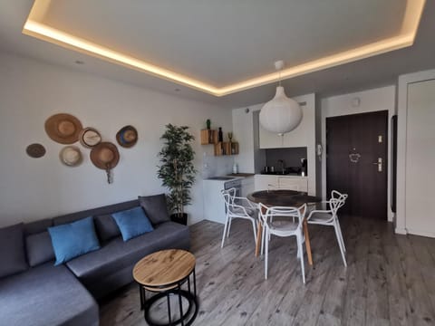 Kitchen or kitchenette, Living room, Seating area