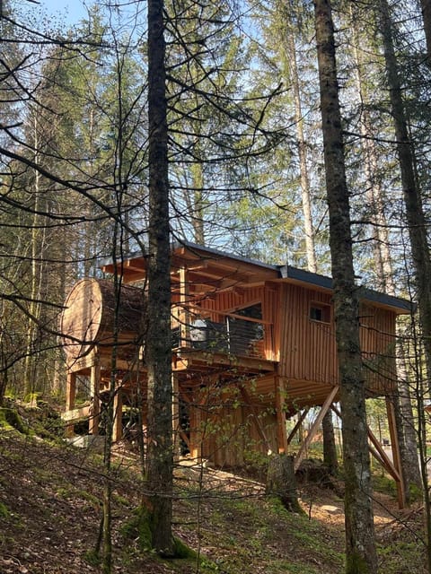 Les Écrins du Val de Mouthe, JURA Chalet in Canton of Vaud