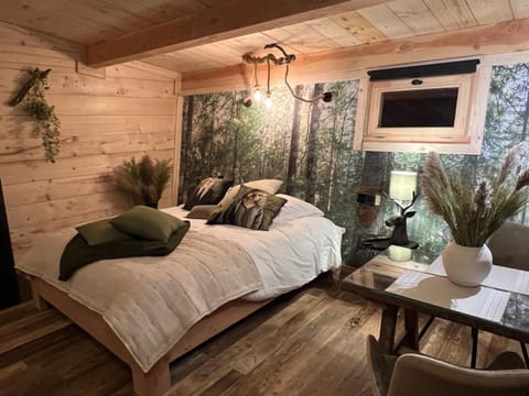 Les Écrins du Val de Mouthe, JURA Chalet in Canton of Vaud