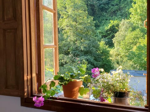 Garden, View (from property/room), Garden view