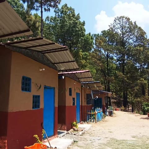 Property building, Street view