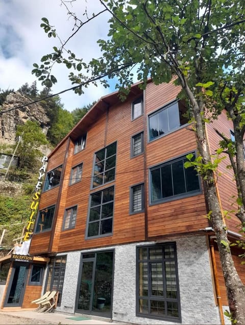 Property building, Day, Natural landscape, Mountain view