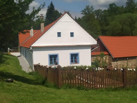 Property building, Garden view