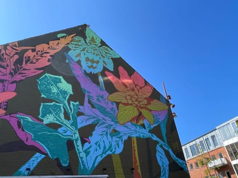 Penthouselejlighed midt i Vejle Apartment in Region of Southern Denmark