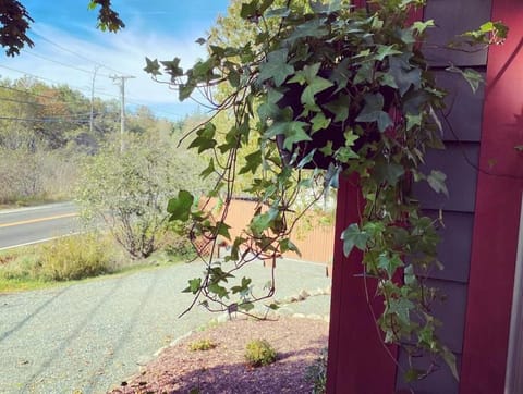 Tiny home within walking distance of Acadia NP House in Seal Cove