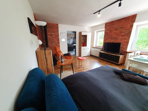Bed, TV and multimedia, Living room, Other, Photo of the whole room, Seating area, Bedroom