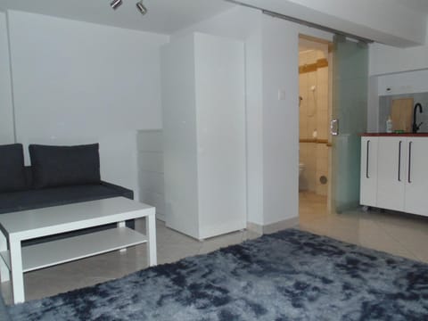 Krowoderska 63A Apartment in Krakow