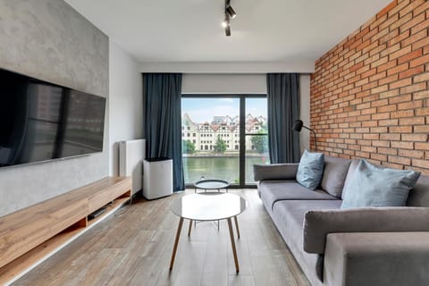TV and multimedia, Living room, Photo of the whole room, Decorative detail, Seating area, Area and facilities