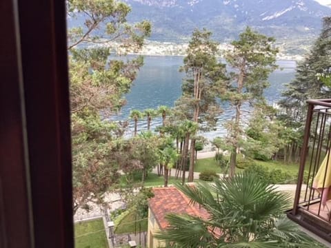 Lake view