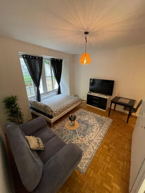 Classy Studio Apartment in Fribourg