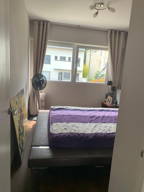 Chambres à loyers dans un Penthause Vacation rental in Île-de-France