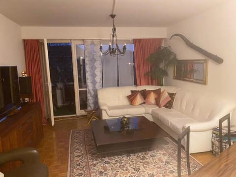 Lutyma Vacation rental in Basel