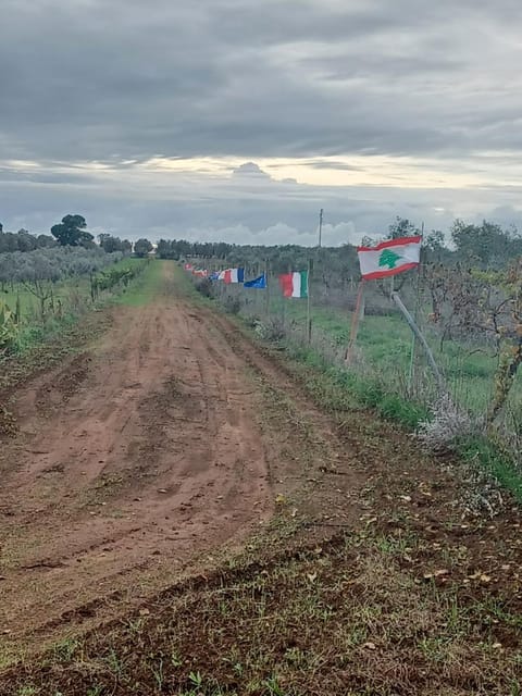 Zeituna Lodge a Porto Cesareo House in Apulia