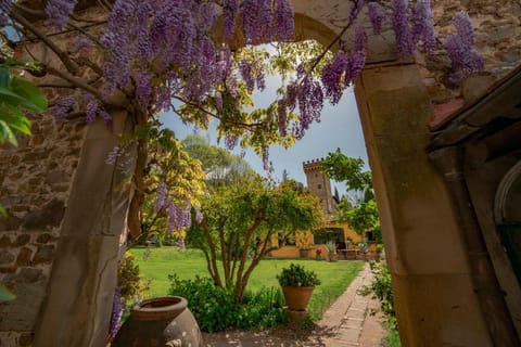Property building, Spring, Day, Summer, Garden, Decorative detail, Garden view, Seasons, Family
